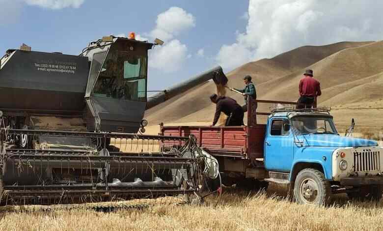 Прогноз роста производства сельхозпродукции в Кыргызстане